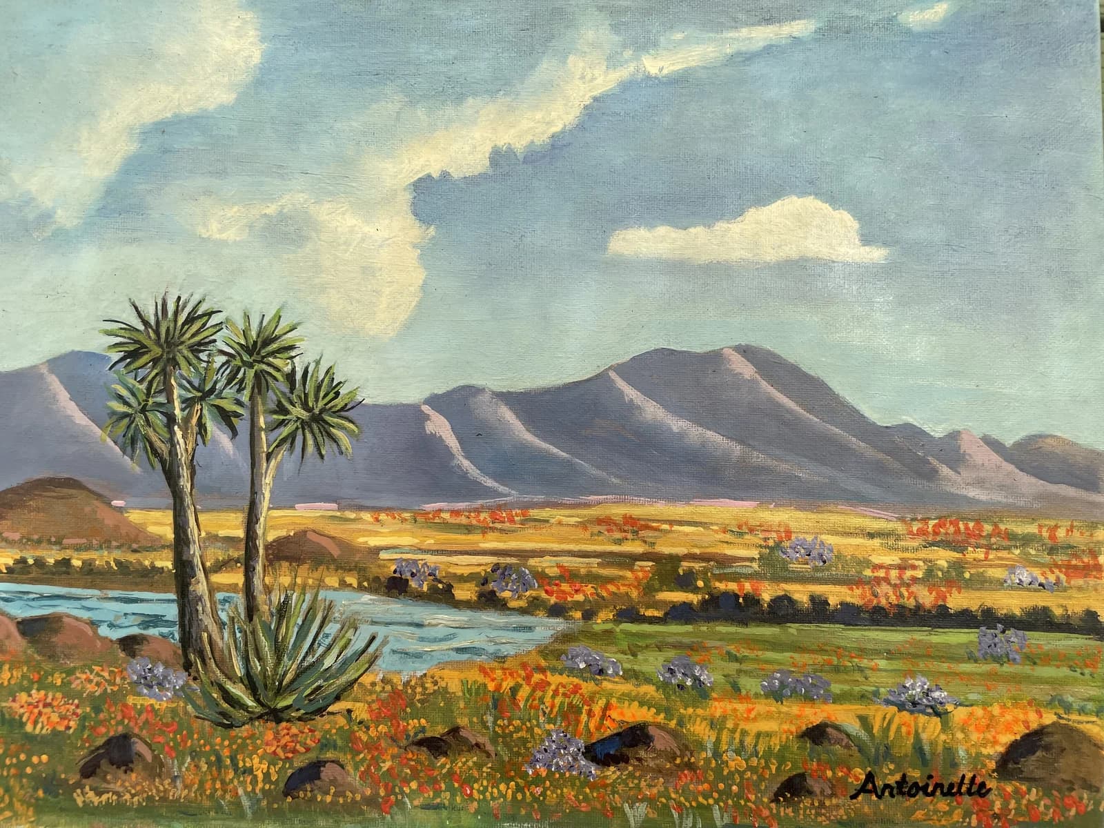 Original painting of Namaqualand spring flowers with quiver trees, mountains, and orange wildflowers under a cloudy sky