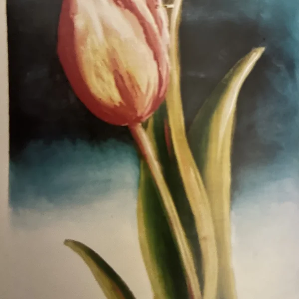 Oil painting of a single pink and cream tulip with green leaves against a blue-grey background