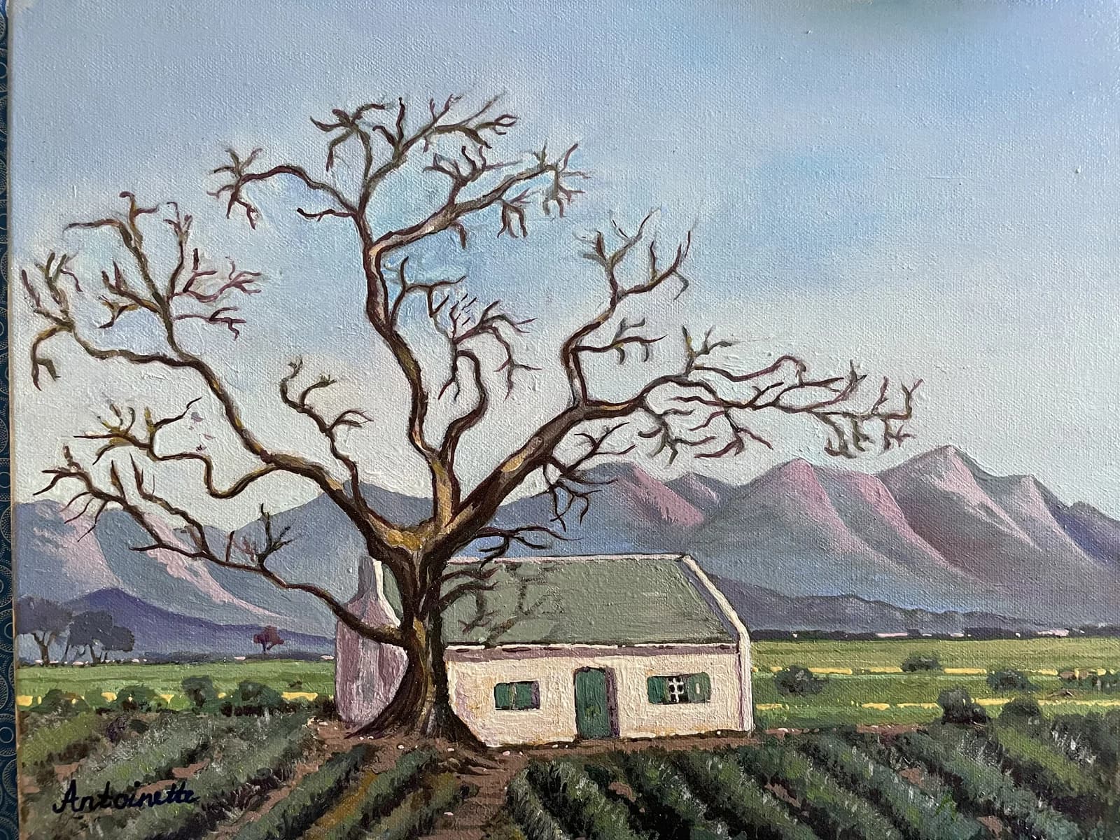 Painting of a cottage under a large bare oak tree in Franschhoek with vineyards and mountains